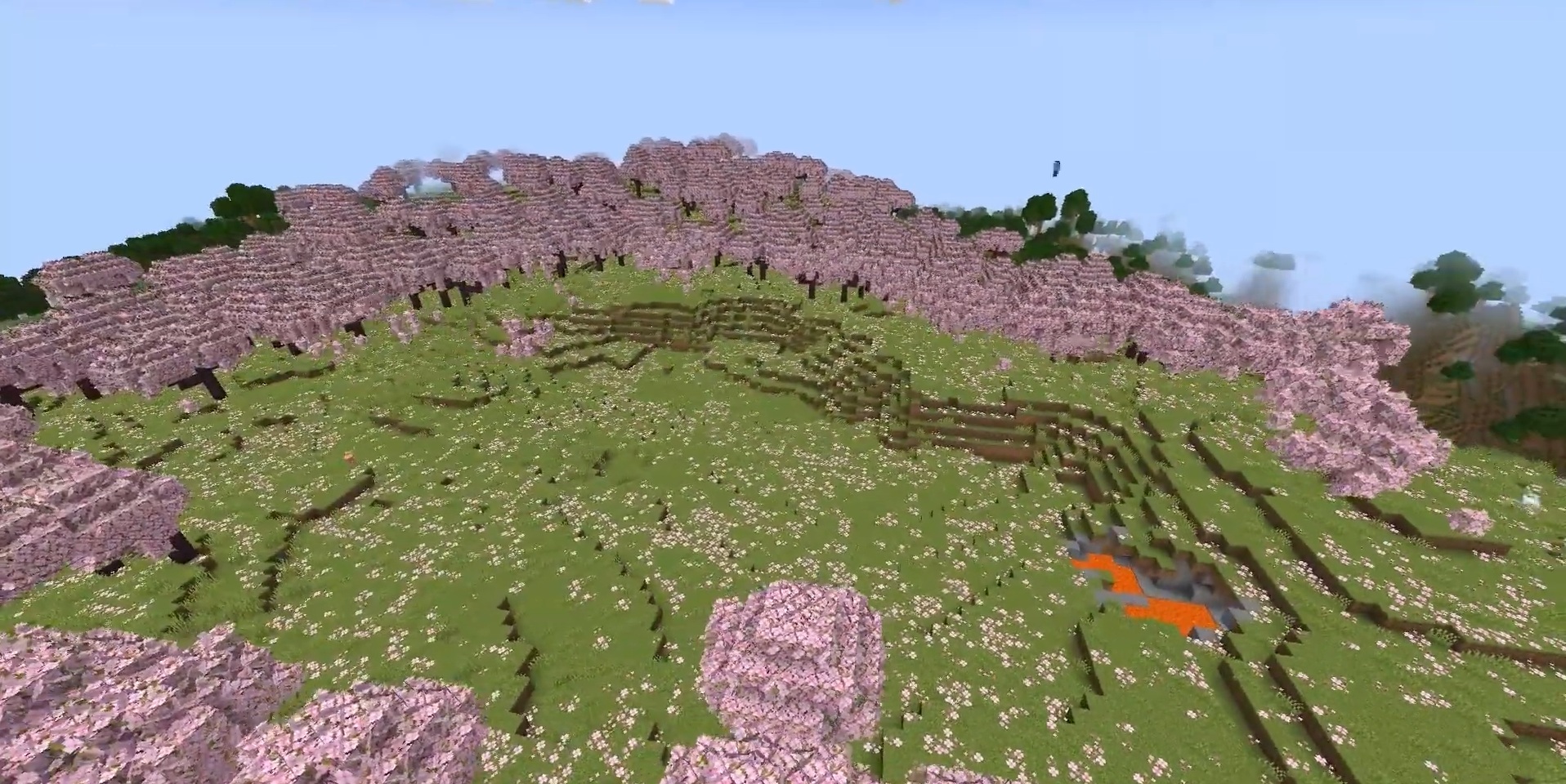 Kiraz Çiçeği Seed